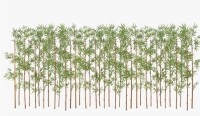 Primrue Adcock 7ft Artificial Bamboo Tree, 36 Pack Privacy Fence Decor - Real Bamboo Pole with UV Resistant Leaves New in Box $399