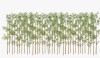 Primrue Adcock 7ft Artificial Bamboo Tree, 36 Pack Privacy Fence Decor - Real Bamboo Pole with UV Resistant Leaves New in Box $399