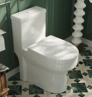 Deer Valley Liberty Compact Toilet, Modern One-Piece Round Toilet with Dual Flush, Easy Cleaning Fully Skirted Design(Seat Included) DV-1F52813-White New in Box $699