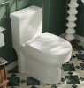 Deer Valley Liberty Compact Toilet, Modern One-Piece Round Toilet with Dual Flush, Easy Cleaning Fully Skirted Design(Seat Included) DV-1F52813-White New in Box $699
