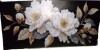 Ophelia & Co. Modern Wall Art Decor Elegant White Flower Picture Art Work, 24" x 48" New In Box $199 - 2