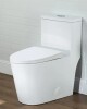 Casta Diva 17" Comfort Height Standard Toilet, Dual-Flush Modern Elongated One-Piece Toilet with Glazed Surface (Seat lncluded) CD-T001 New In Box $499