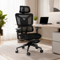 Inbox Zero Ergonomic Office Chair with 5d Armrests Adjustable Seat Depth and Adaptive Lumbar Support, Black, New in Box $599