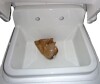Deervalley 30" Ally Wall Mount Utility Sink, White Ceramic Farmhouse Slop Laundry Tub, New in Box $499 - 2