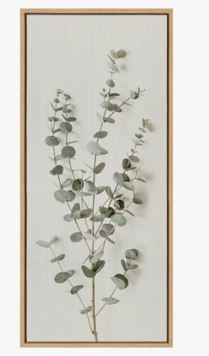 Lark Manor&trade; Eucalyptus Botanical I by The Creative Bunch Studio Framed Canvas Wall Art Print, 18" x 40" New In Box $199