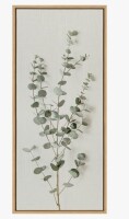 Lark Manor&trade; Eucalyptus Botanical I by The Creative Bunch Studio Framed Canvas Wall Art Print, 18" x 40" New In Box $199