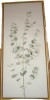 Lark Manor&trade; Eucalyptus Botanical I by The Creative Bunch Studio Framed Canvas Wall Art Print, 18" x 40" New In Box $199 - 2
