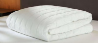Beautyrest Black Cal-King Mattress Pad / Blue Ridge HOme Fashions King Size Down Comforter Assorted $199