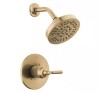 Delta Saylor Gold 1-Handle Wall Mount Shower Trim Kit in Champagne Bronze (Valve Not Included) New In Box $299