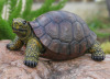 Bay Isle Home&trade; Weather-Resistant Resin Turtle Statue Decoration, Exquisite Handicraft, Artistic Simulation Animal Sculpture New In Box $199