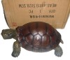 Bay Isle Home&trade; Weather-Resistant Resin Turtle Statue Decoration, Exquisite Handicraft, Artistic Simulation Animal Sculpture New In Box $199 - 2