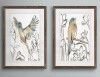 Laurel Foundry Modern Farmhouse&reg; "Songbird Meadow III" by Vincent Van Gogh 2 - Pieces, 16" x 24" New In Box $199