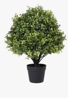 Primrue Guttenberg Faux Boxwood Topiary in Pot New In Box $199