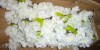 Latitude Run&reg; 6 ft. Artificial White Cherry Blossom Tree With Flowers, Faux Cherry Blossom Tree In Pot New In Box $199 - 2