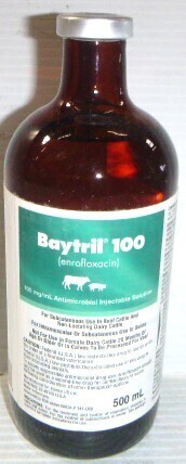 BAYTRIL&reg; 100 INJECTABLE SOLUTION (ENROFLOXACIN) 500 ML RX New Best by 6/2028