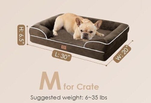EHEYCIGA Orthopedic Dog Bed for Medium Dogs, Waterproof Memory Foam Dog Bed with Sides and Non-Slip Bottom and Removable Washable Egg Crate Cover, Brown New In Box $79