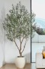 Joss & Main Adcock 8ft Artificial Olive Tree with 18in White Planter New In Box $499
