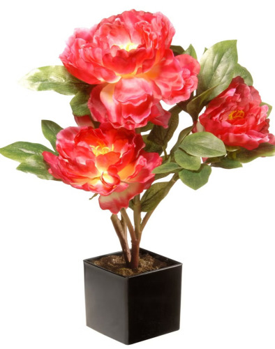 National Tree Company 15" Artificial Peony Flower in Square Pot Fuchsia - National Tree Company / Red Barrel Studio&reg; Geranium Silk Plant in Rectangular Planter, UV Resistant (Indoor/Outdoor)new Shelf Pull Assorted $99