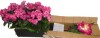 National Tree Company 15" Artificial Peony Flower in Square Pot Fuchsia - National Tree Company / Red Barrel Studio&reg; Geranium Silk Plant in Rectangular Planter, UV Resistant (Indoor/Outdoor)new Shelf Pull Assorted $99 - 3