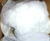 Tucker Murphy Pet&trade; Cloud Pet Sofa Bed New $89 - 2