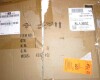 Ivy Bronx Mid Century Modern Ceiling Light Glass Shade New In Box $399 - 2