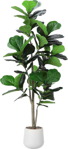 Jocoevol Artificial Fiddle Leaf Tree, 5ft Faux Plant Fake Ficus Lyrata Silk Trees with White Planter New In Box $199