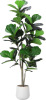 Jocoevol Artificial Fiddle Leaf Tree, 5ft Faux Plant Fake Ficus Lyrata Silk Trees with White Planter New In Box $199