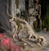 Home Accents Halloween 5 Ft. Long Grave & Bones LED Skelly'S Cat New in Box $199