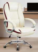 Inbox Zero Nickoli Heavy Duty Design High Back Ergonomic Executive Office Chair $399