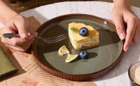 Ebern Designs 5-Piece Stoneware Dinner Plate, Microwave & Dishwasher Safe New In Box $99