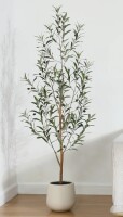 Primrue 6 ft. Adcock Artificial Olive Tree with Natural Wood Trunk in White Planter New In Box $199