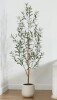 Primrue 6 ft. Adcock Artificial Olive Tree with Natural Wood Trunk in White Planter New In Box $199