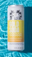 Gold Soda - Natural Ingredients - Organic Cane Sugar - Non-GMO - No Preservatives - Monk Fruit - Sparkling Water - Made with Natural and Organic Flavors - Pineapple Mango 12 fl oz