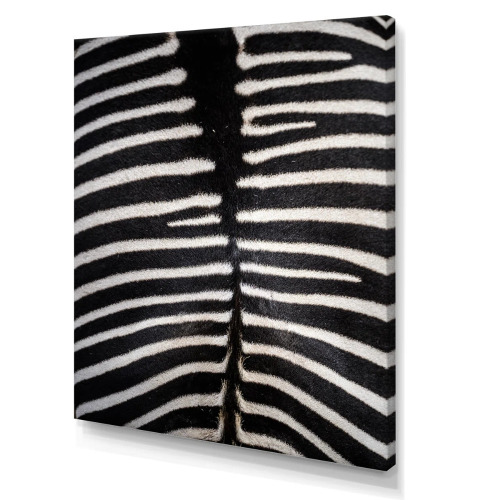 Dakota Fields Zebra Skin "Zebra Skin Canvas", 30" x 40" New In Box $199