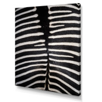 Dakota Fields Zebra Skin "Zebra Skin Canvas", 30" x 40" New In Box $199