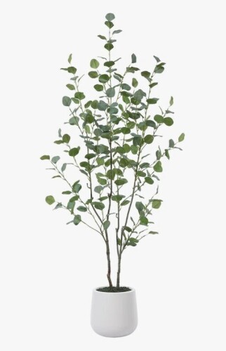 AllModern 5 ft. Adalia Artificial Eucalyptus Tree in White Planter New In Box $299