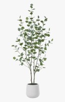 AllModern 5 ft. Adalia Artificial Eucalyptus Tree in White Planter New In Box $299