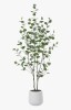 AllModern 5 ft. Adalia Artificial Eucalyptus Tree in White Planter New In Box $299