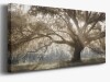 Winston Porter Woodland Meadow- Gallery Wrapped Canvas -Ready to Hang, 12" x 30" / Winston Porter Virginia Oak- Gallery Wrapped Canvas -Ready to Hang, 16" x 24" New In Box Assorted $299 - 2