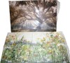 Winston Porter Woodland Meadow- Gallery Wrapped Canvas -Ready to Hang, 12" x 30" / Winston Porter Virginia Oak- Gallery Wrapped Canvas -Ready to Hang, 16" x 24" New In Box Assorted $299 - 3