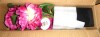 National Tree Company 15" Artificial Peony Flower in Square Pot Fuchsia New In Box $79 - 2