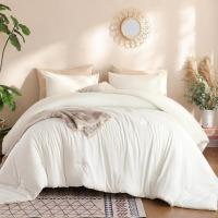 Weigelia Super Soft Microfiber Comforter Set, Queen Size, Cream White, Lightweight, Warm for All Seasons, Machine Washable White Bedding Set (1 Comforter and 1 Pillowcase) New In Box $199