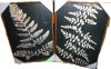 IDEA4WALL Minimal Botanical "Dark Gray & Tan Leaf Fern Artwork, Neutral Minimalist Modern Rustic Wall Pictures, Framed Canvas Giclee Print 2 Pieces Wall Art Set" (Set of 2), 24" x 16" New In Box $199 - 3