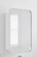 Ebern Designs Garnes Recessed or Surface Mount Framed Medicine Cabinet with Adjustable Shelves New in Box $299