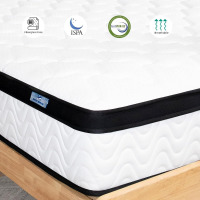 Molbius 10" Full Size Hybrid Medium Firm Memory Foam Mattress with Individual Pocket Springs, Fiberglass Free Bed, Breathable, CertiPUR-US, New in Box $599
