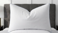 Red Barrel Studio&reg; Standard Size Luxury Thick Side Goose Feather Pillows With Cotton Cover, Plush Support Medium Pillow New In Box