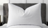 Red Barrel Studio&reg; Standard Size Luxury Thick Side Goose Feather Pillows With Cotton Cover, Plush Support Medium Pillow New In Box
