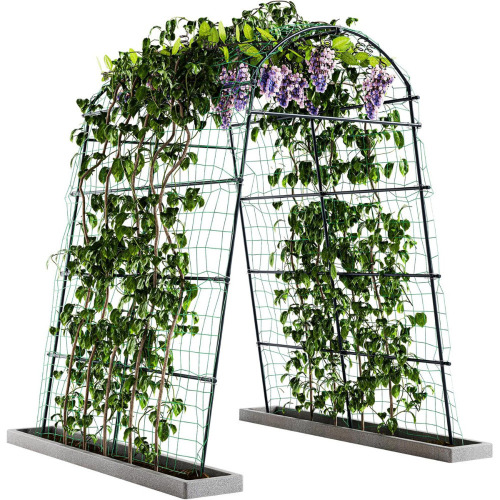 Arlmont & Co. Sohvi 88'' Durable Stainless Steel Garden Arch Trellis, Rust-Proof PE Coating for Climbing Plants $299