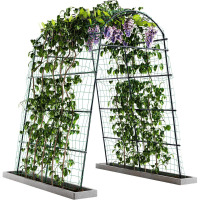 Arlmont & Co. Sohvi 88'' Durable Stainless Steel Garden Arch Trellis, Rust-Proof PE Coating for Climbing Plants $299
