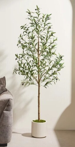 Primrue 6ft Artificial Olive Tree in Modern White Pot - Faux Potted Plant with Realistic Fruits & Dense Foliage for Scandi-Minimalist Home, Office & Apartment Decor New In Box $299